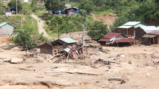 Đại biểu Quốc hội: 'Một số chủ nhà máy điện lạm dụng quy trình để phá rừng, lấy gỗ quý'