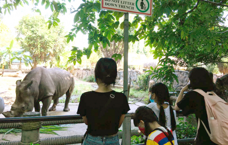 Dạy con bảo vệ các “bạn” hoang dã