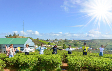 Tour du lịch dành riêng cho người độc thân