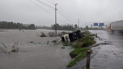 Bão số 12 thổi "bay" xe tải, cây xanh ngã la liệt