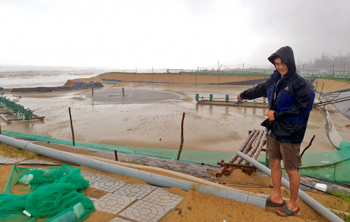 Hồ tôm, ruộng rau “thổi” bay rừng dương ven biển