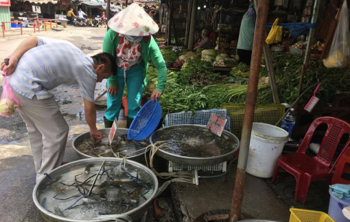Chợ an toàn thực phẩm gặp khó vì... chợ cũ, tiểu thương lớn tuổi
