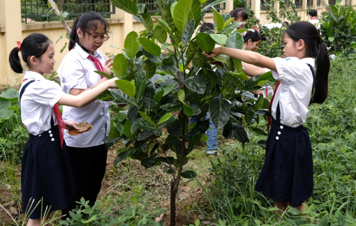 Cộng đồng mạng thi nhau kể chuyện cây xanh và câu chuyện về một chiến dịch ý nghĩa