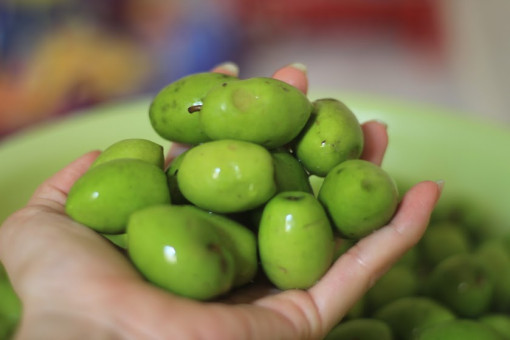 Phải lòng vị chua chát của trái cà na