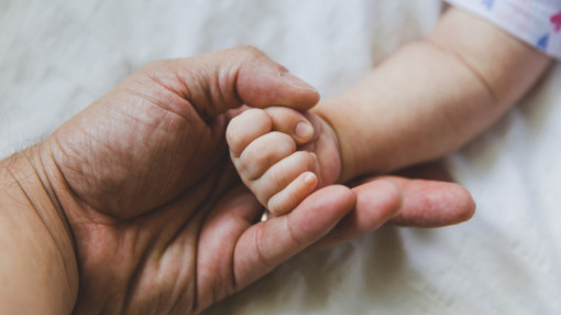 Con sinh ra sau khi cha mẹ ly hôn có là con chung?