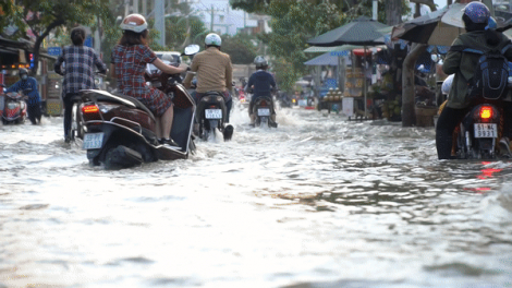 Người bì bõm, kẻ nô đùa khi triều cường đạt đỉnh