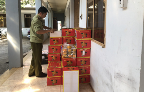 Gom hơn 1 tấn trái cây nhập lậu từ TPHCM về Bình Phước tiêu thụ
