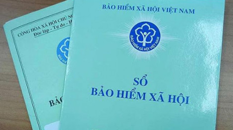 TPHCM đề xuất xử lý hình sự theo hướng rút gọn đối với doanh nghiệp vi phạm bảo hiểm xã hội