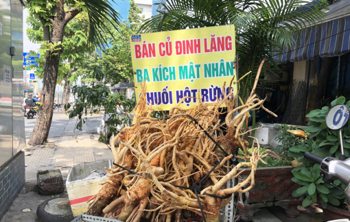 Uống “rượu bổ”, coi chừng… bổ ngửa