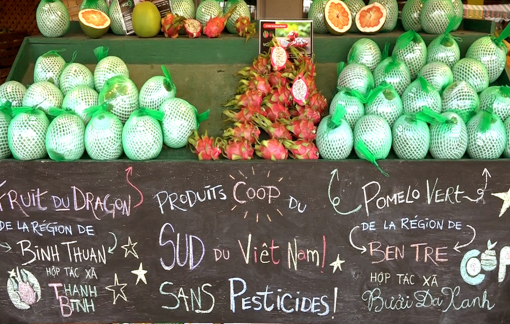 Thời điểm để kinh tế Việt Nam vượt lên