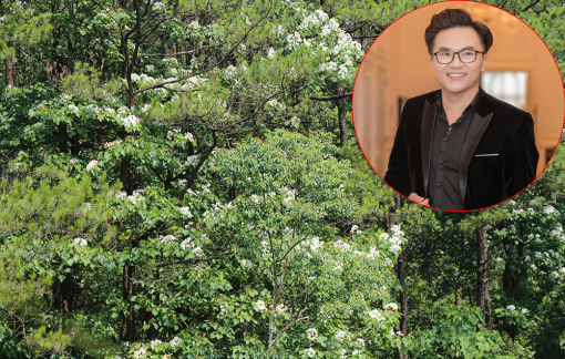 Sau cứu trợ bão lũ, MC Đại Nghĩa triển khai kế hoạch trồng rừng ở miền Trung