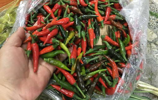 Giá ớt tăng kỷ lục, tiểu thương chẳng buồn bán lẻ