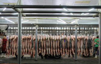 Giá thịt heo tăng nhanh trở lại