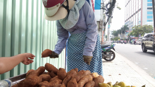 Khoai sâm đất có tác dụng gì mà nhiều người tìm mua?