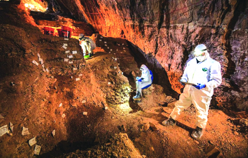 Những khám phá tuyệt vời trong năm 2020