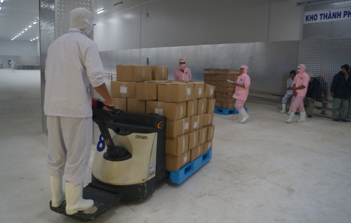 Cá tra xuất khẩu tiếp tục tắc nghẽn vì Trung Quốc siết kiểm dịch COVID-19