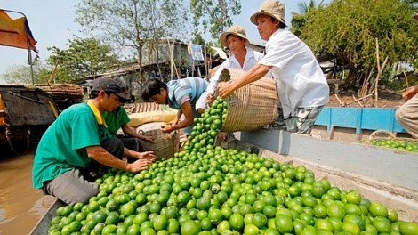 Cơ hội để nông sản miền Tây vào chuỗi giá trị toàn cầu