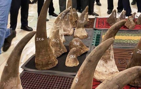 Lô hàng gần 100kg nghi sừng tê giác ở kho hàng sân bay Tân Sơn Nhất