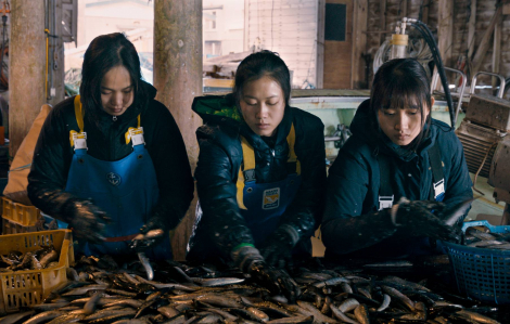 Bộ phim về người lao động Việt Nam ra rạp tại Nhật Bản