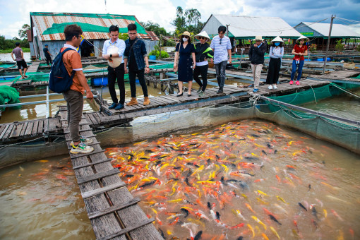 Tết Nguyên đán 2021: Du khách vẫn ưu tiên tour trọn gói