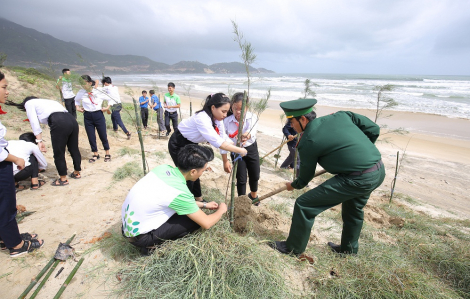 Mạng xã hội bỗng chốc ‘xanh rì’ với chiến dịch ‘Triệu cây vươn cao cho Việt Nam xanh’