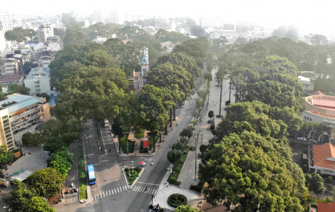 Thành phố Hồ Chí Minh sẽ xanh lên từng ngày