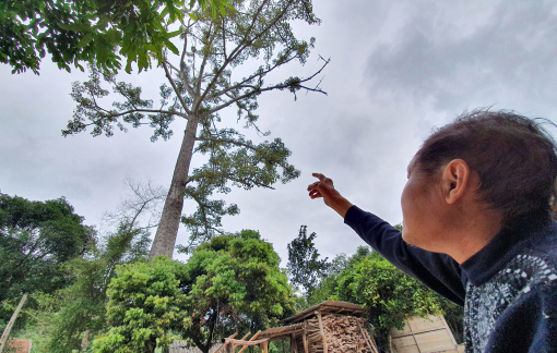 “Luật làng”: Bỏ hủ tục ma chay, cưới hỏi