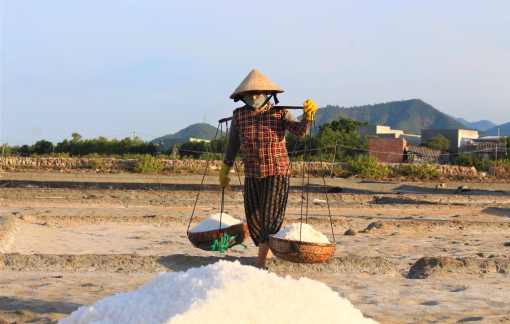 Ân tình đời… muối