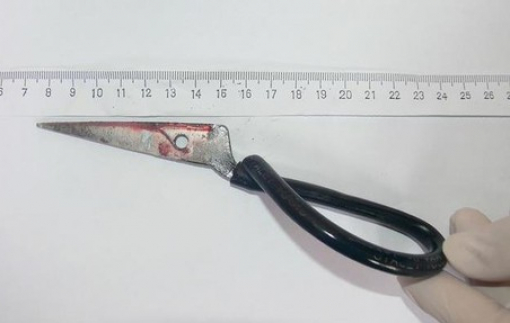 Nghệ An: Nam sinh lớp 5  bị đàn anh lớp 8 đâm tử vong trên đường đến trường