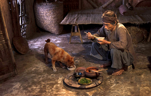 Mất hứng với phim “lấy cảm hứng”