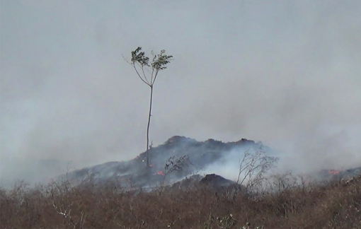 Núi rác 84.000 tấn “sừng sững” giữa thành Vinh