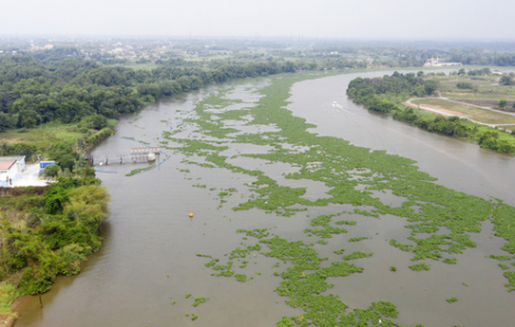 TPHCM dự kiến dời điểm lấy nước thô trên sông Sài Gòn để hạn chế ô nhiễm