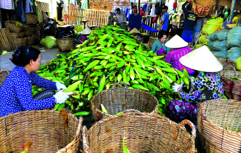 Chợ "độc" giữa Sài Gòn