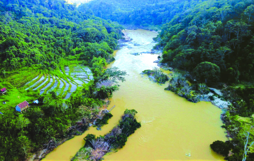“Cứu Trái Đất” hay những lựa chọn đời người
