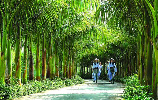 Mềm như nước, tinh như hoa