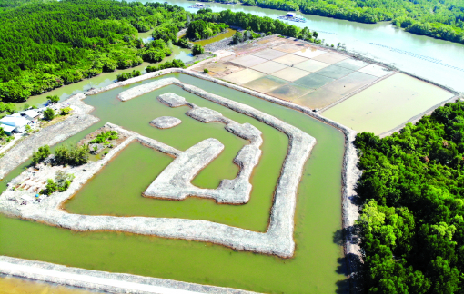 “Nhìn đất mà mừng cho tụi nhỏ!”