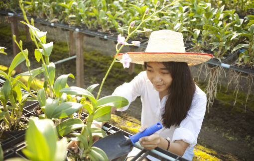 “Tên trộm” bí ẩn