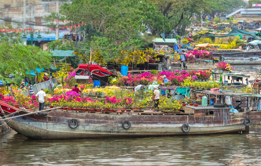 Tết về đến bến Bình Đông ngắm hoa, nghe đờn ca tài tử
