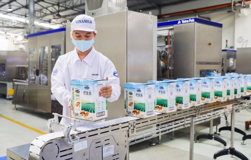 Vinamilk “xông đất” năm 2021 với lô hàng lớn gồm sữa hạt và sữa đặc xuất khẩu đi Trung Quốc