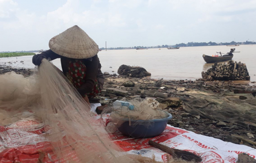 ĐBSCL: Xâm nhập mặn cao nhất vào dịp Tết Nguyên đán