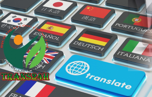 Chính sách của Dịch thuật Trans24h dành cho doanh nghiệp