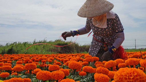 Chuyện chồng, con khó nói lắm người ơi