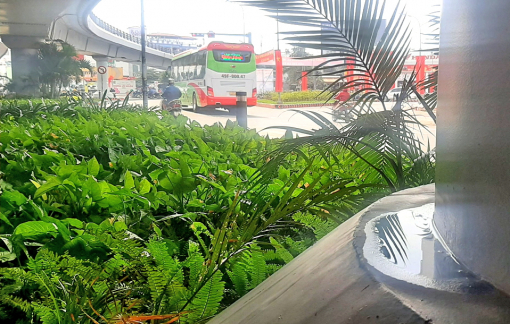 Trụ thép cầu vượt hư hỏng vì nước tưới cây xanh