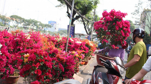 Tết về sớm trên bến Bình Đông