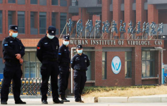 WHO: Các hang dơi của Trung Quốc cần được khám phá để tìm nguồn gốc