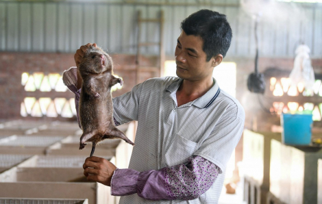 Trung Quốc: Những lỗ hổng "chết người" trong luật mới có thể gây nên các đại dịch khác trong tương lai