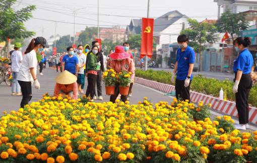 Hàng trăm chậu hoa tết miễn phí được gửi vào khu cách ly