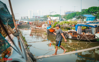 Thời tiết 7 ngày tết: phía Nam mát mẻ, từ Bình Thuận ra Bắc nhiều nơi trời rét, có mưa to