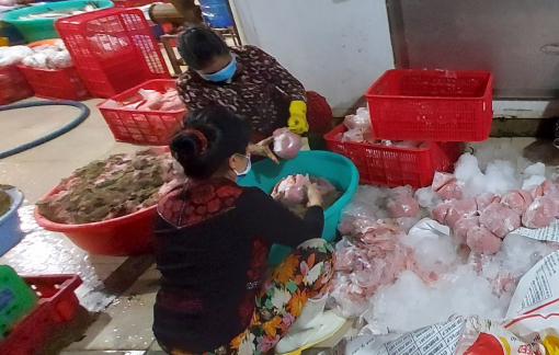 Đồng Tháp: buộc tiêu hủy nửa tấn chả cá "ngậm đầy" hàn the