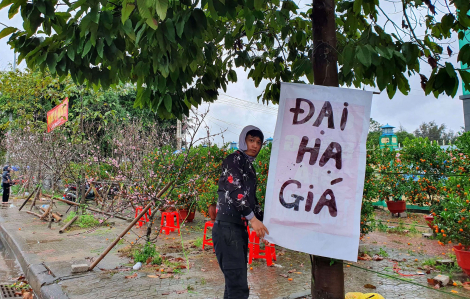 Người bán hoa tết Nghệ An tràn ra đường mong gỡ vốn